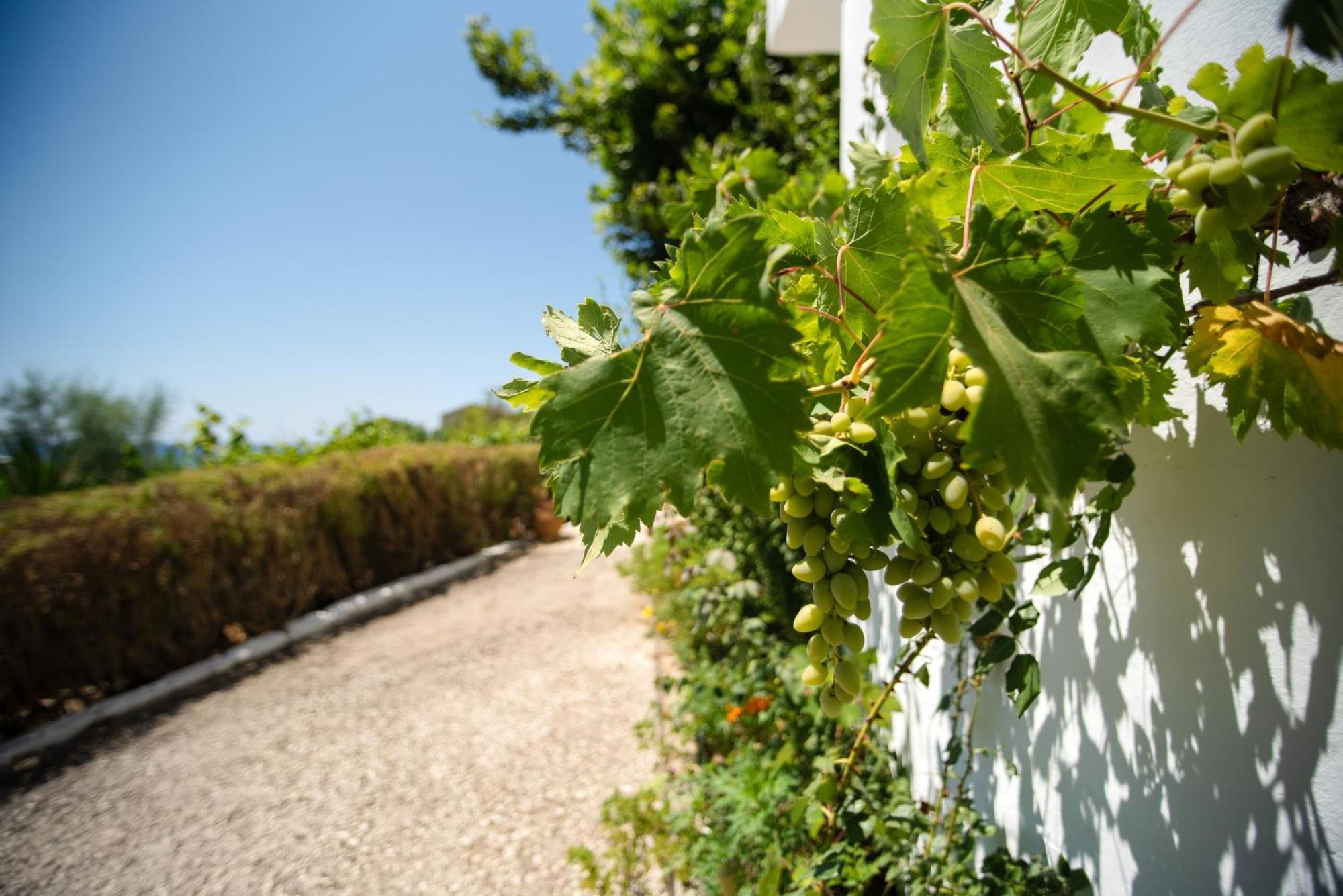 Anneta Maison d'hôtes *